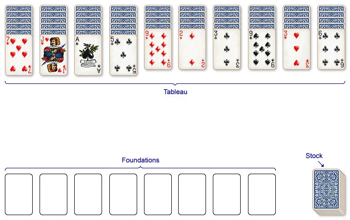 Spider Card Layout